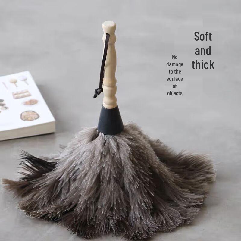 Andatong Mini Car & Home Ostrich Feather Duster
