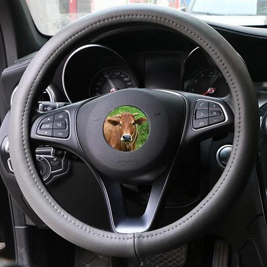Universal 38cm Car Steering Wheel Cover Genuine Leather Braid For Steering Wheel 15in Cowhide Car Steering Wheel Wrap Soft Cool