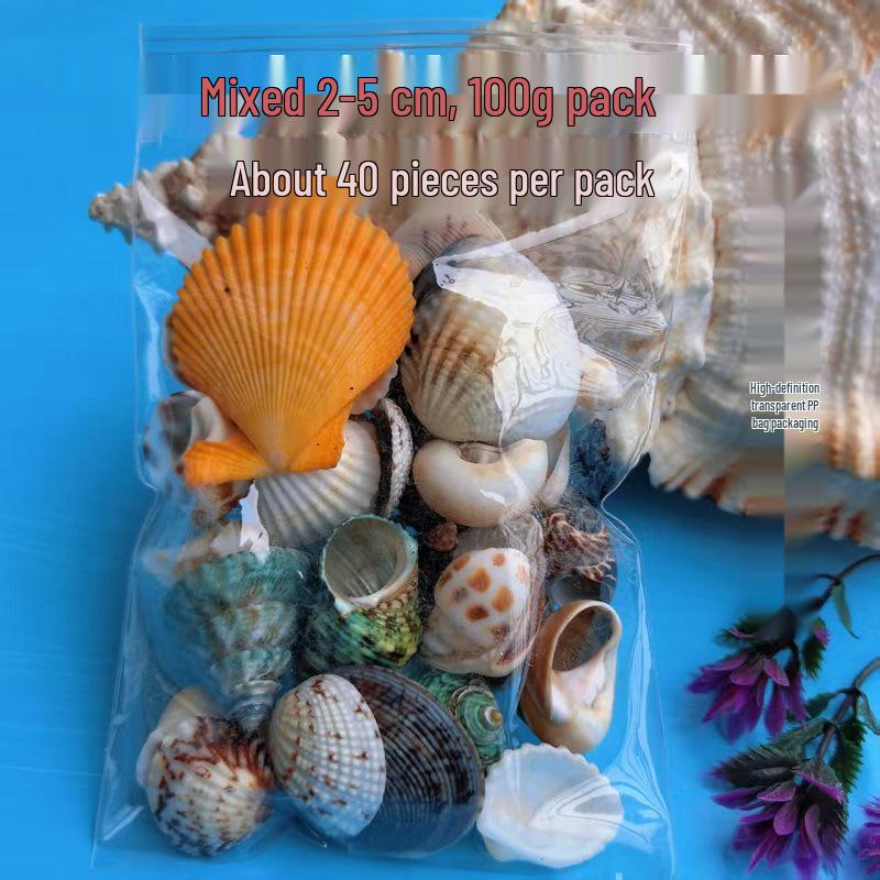 Conch Shells & Starfish for Hermit Crabs: Aquarium Decor & Drift Bottle Accessories