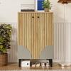 Modern Wooden Shoe Cabinet with Doors – Space-Saving Shoe Organizer with Shelf Compartments, Storage & Black PVC Frame, Elegant Design for Hallway