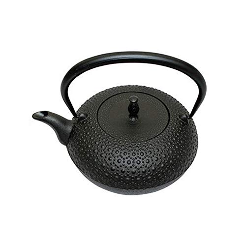 Oigen Nanbu Ironware Iron Kettle, Shinonome Kikko Pattern, 1.0L, IH Compatible, H-200