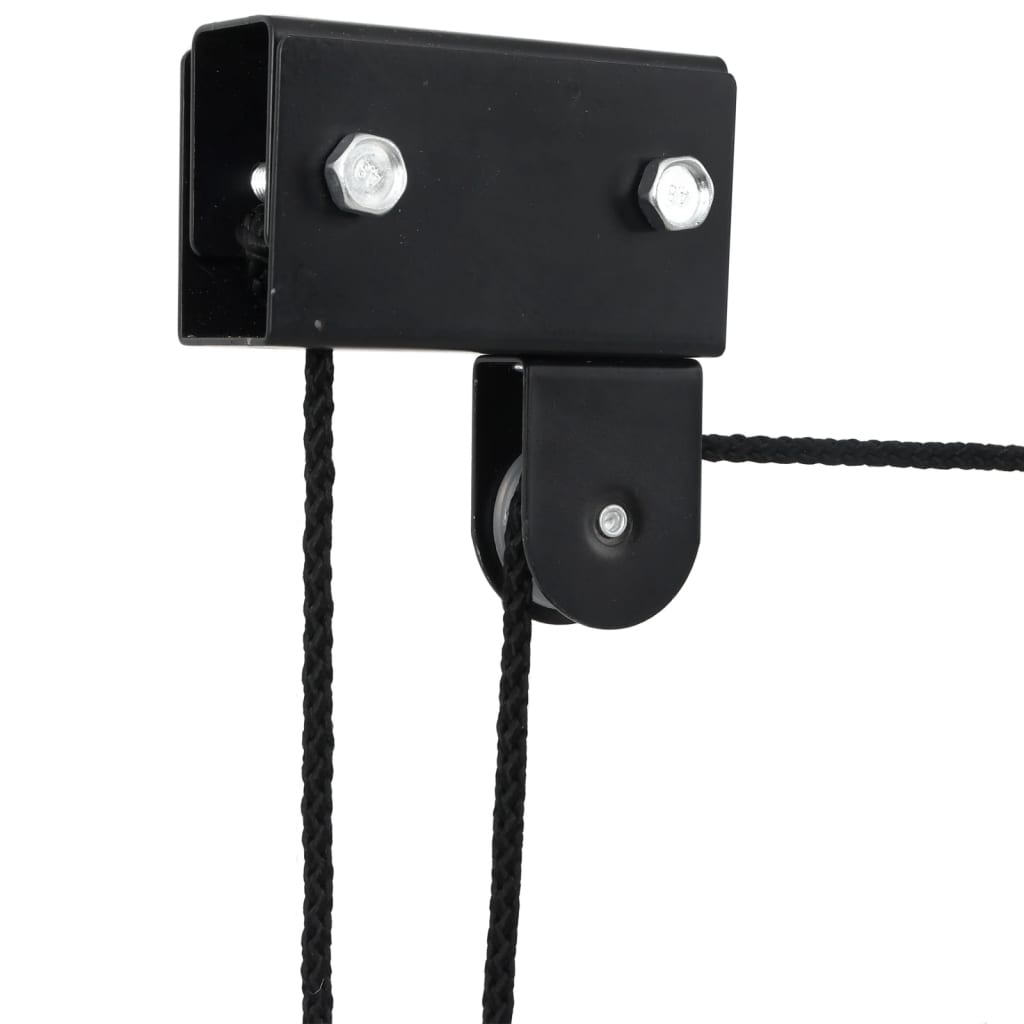 Vidaxl Bicycle Lift with Ceiling Mount, 57 Kg