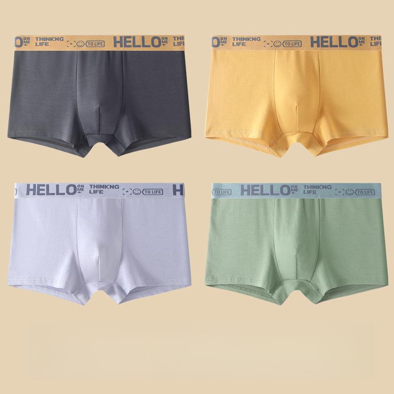 

4 шт. Мужское нижнее белье Мужские боксеры Большого размера Дышащее нижнее белье Молодежный тренд Четырехугольное нижнее белье и Нижние штаны L