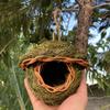 19 Style Birds Nest Bird Cage Natural Grass Egg Cage Bird House Outdoor Decorative Weaved Hanging Parrot Nest Houses Pet Bedroom