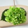 Artificial Hydrangea Single Stem with Leaves - Fake Flower for Wedding, Home, and Photography Decor