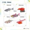 Children'S Science And Education Cognition 16 Animal, Plant And Insect Life Cycle Cards Early Childhood Education Card Toys