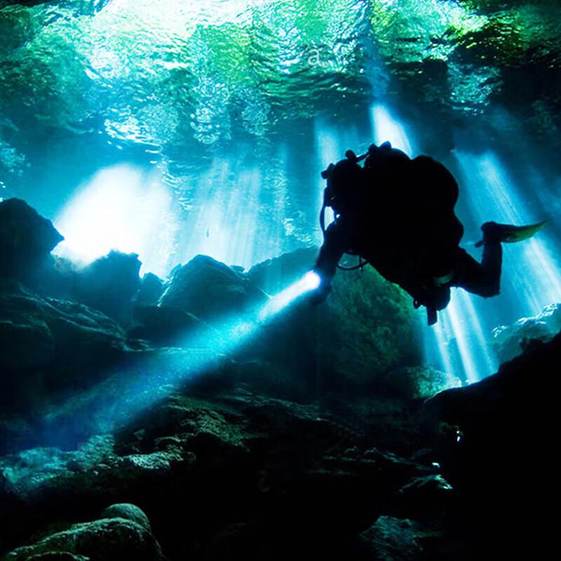 Satuo Professional Diving Flashlight