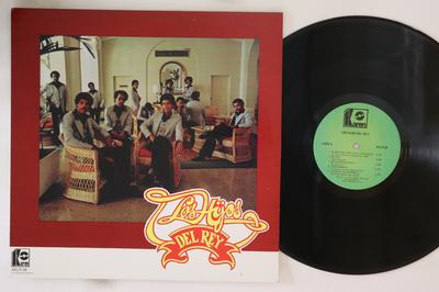 Koníčky a kreativita – Hudba