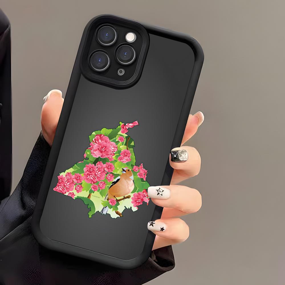 ART Punjab Map Phone Case For IPhone 17 Air 16 E 15 14 Plus 13 12 11 Pro Max Black Sky Eye Stepped Protective Case
