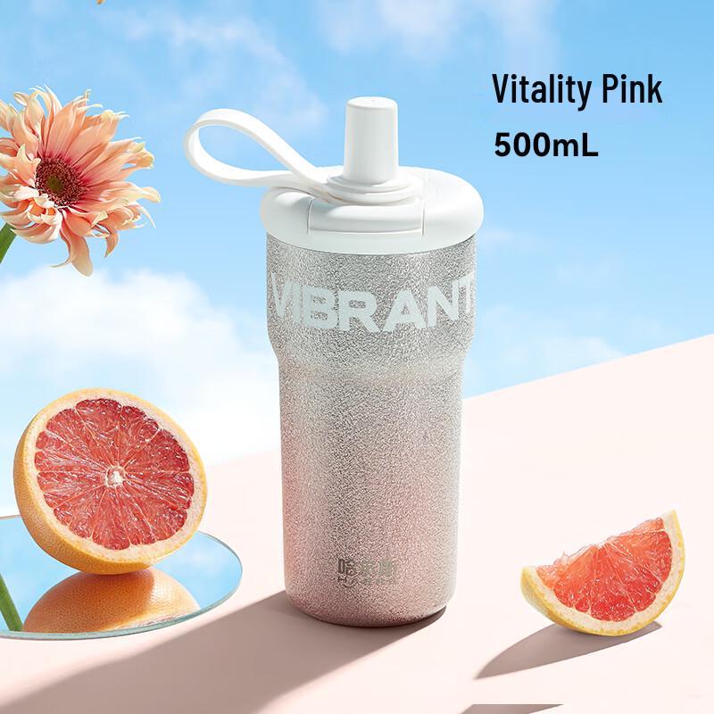 

HAERS Starry Series Insulated Straw Tumbler