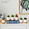Facecolor Mini Ceramic Cactus Planter Ceramic Set of Succulent Flower Ceramic Succulent Small Planter Pots for Mini Suitable for Mini Bamboo Saucer