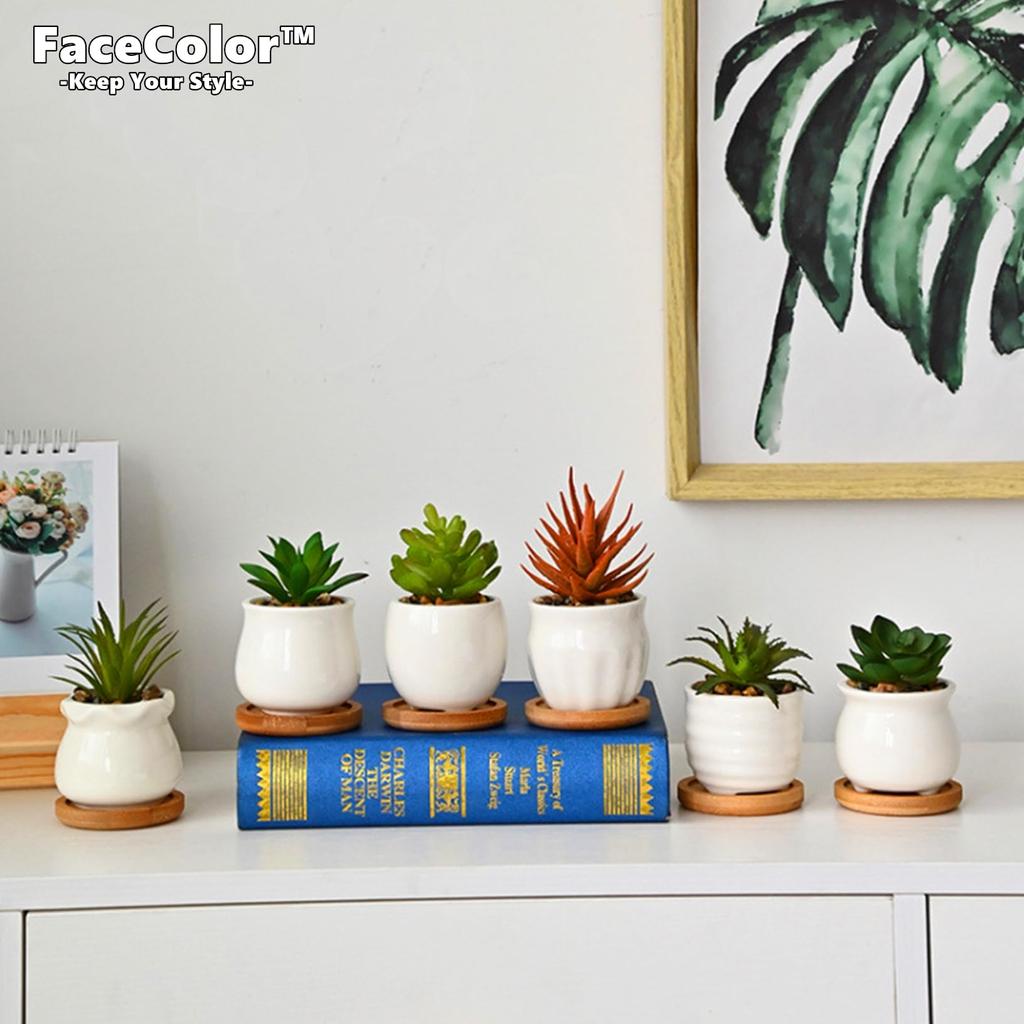 Facecolor Mini Ceramic Cactus Planter Ceramic Set of Succulent Flower Ceramic Succulent Small Planter Pots for Mini Suitable for Mini Bamboo Saucer