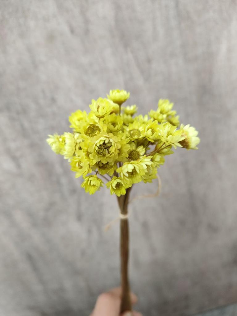 Dry Flower Wedding Party Essential Decorations For Home Home Décor Accents DIY-friendly Pressed Flowers For Party Floral