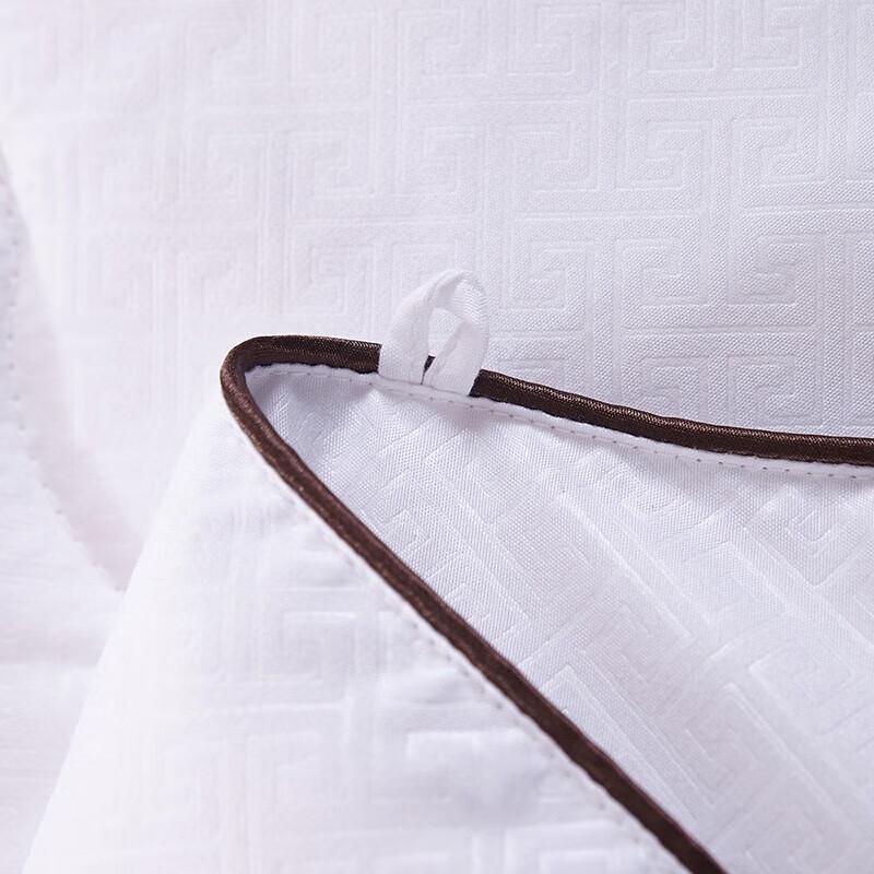 Beyond Kids Mulberry Silk Quilt