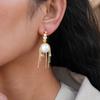 Zircon Imitation Pearl Round Fringed Silver Needle Earrings Exquisite Stud Earrings Premium Earrings