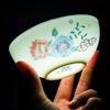 Taoxianghui Five-Star Bone China Dinnerware Set