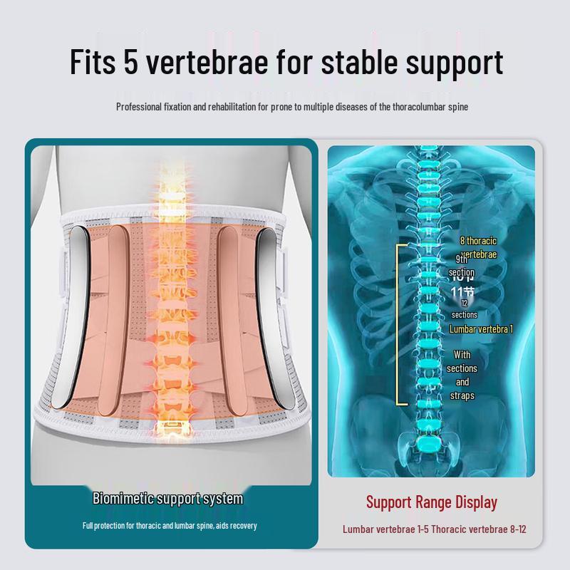 ZEAMO Medical Lumbar Support Belt