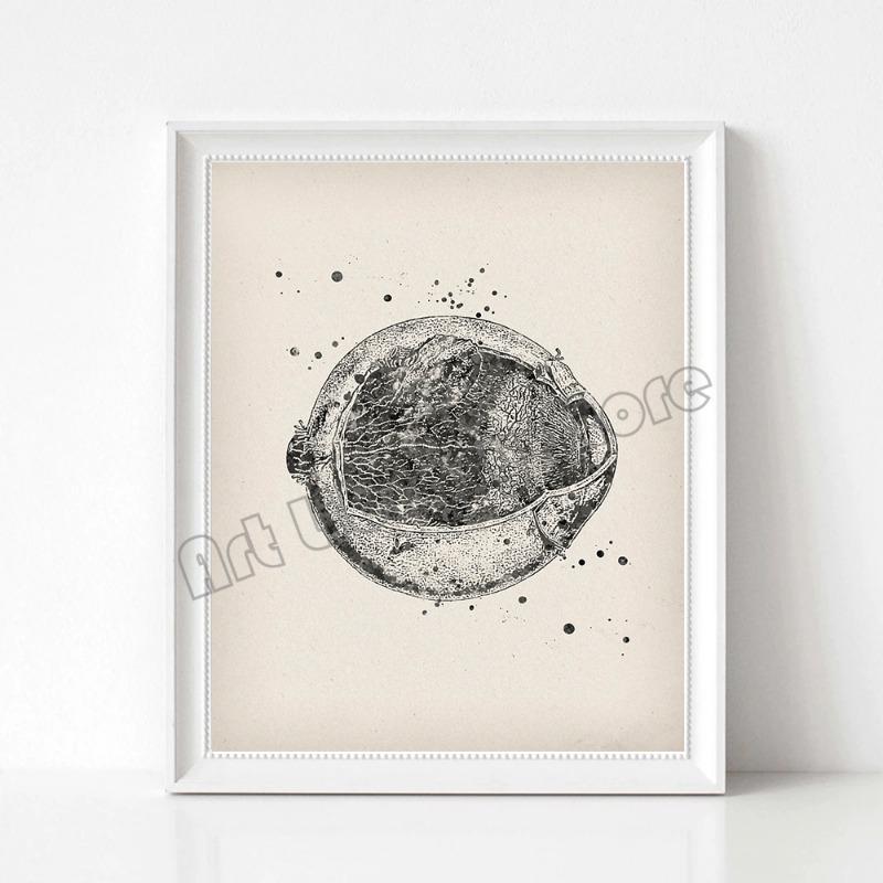 Vintage Human Eye Anatomy Medical Education Poster Canvas Painting Wall Art Pictures Ophthalmic Clinic Home Decor Gift