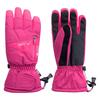 Elbrus Womens/Ladies Richen Ski Gloves