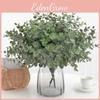 Plant Eucalyptus Globulus Foliage For Home Enhancement Photography Prop