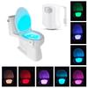 8-Color LED Motion Sensing Automatic Toilet Bowl Night Light KTY