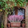 1/3/5pcs Artificial Flower Plant Lavender Christmas Festival Wedding Bridal Bouquet Home Outdoor UV Protection Gift Decoration