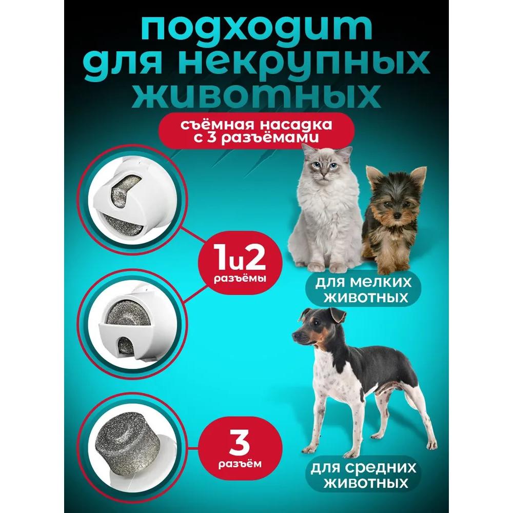 A feline for small and medium-sized dogs, used in felines.