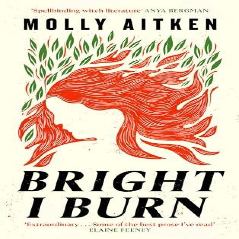 Bright I Burn by Molly Aitken Hardback Book 9781786898388