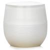 Kanebo Sensai Absolute Silk Cream 40ml