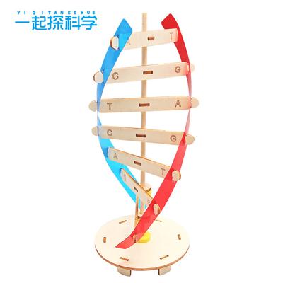 DNA Double Helix Structure Model Science And Technology Small Production Manual Diy Human Gene Biological Science Experimental Device Materials