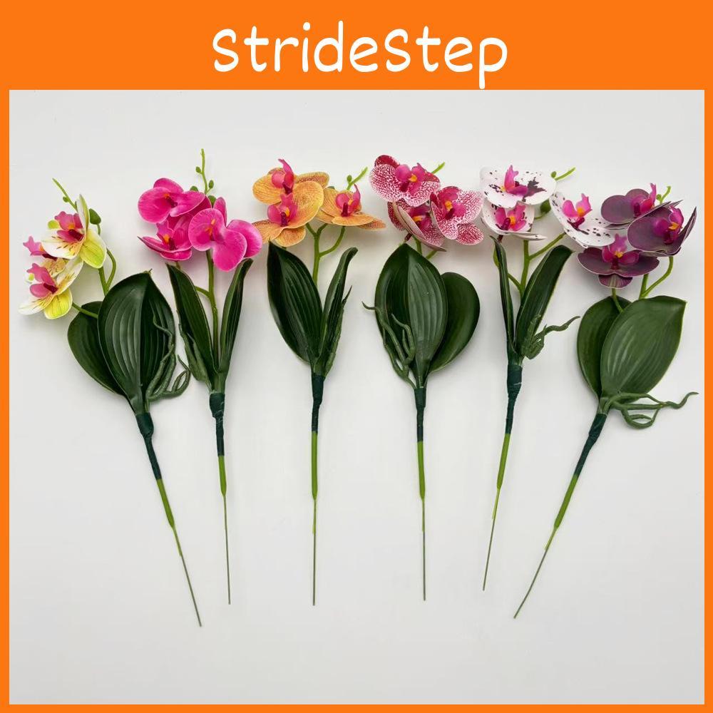 Realistic Phalaenopsis Artificial Flower Plant For Photography And Home Decor
