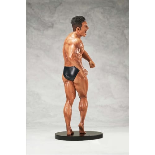 MUSCLE STARS PIECE Nakayama Kinnikun Risou's Appearance