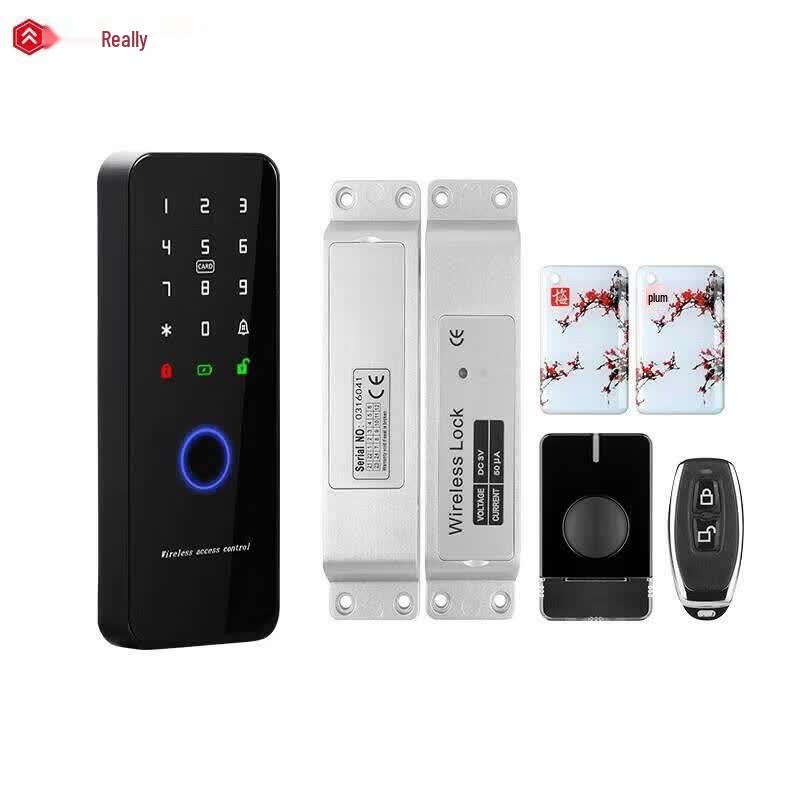 Realand D6S Wireless Fingerprint Access Control System CN plug (adapter included)