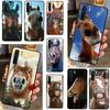 Lustiges Pferd Tier Für OPPO A16 A17 A15 A5 A9 A31 A53 A54 A74 A94 A52 A72 A76 A96 A77 A54S A57S Handyhülle