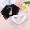 Elegant Detachable Lace Collar Embroidered Beaded False Collar Half Shirt Collar For Women Blouse Decoration Accessories