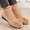 Large Size Shoes for Women with A Bow for Comfortable and Casual Wear. Women's Single Shoes