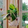 Flowerpot Plant Holder Hand-knitted Cotton Rope Wall Hanging Flowerpot Holder Basket