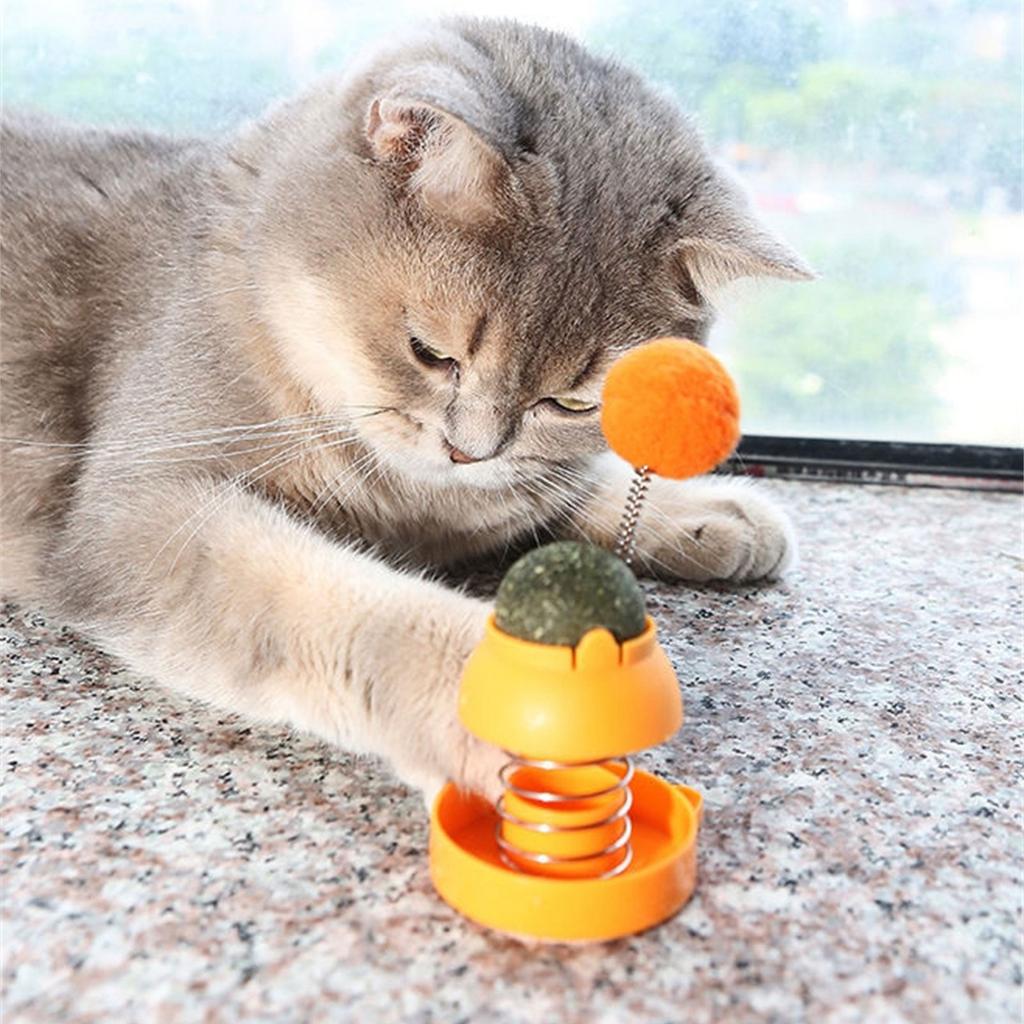 Cat Catmint Ball with Rolling Tumbler Toy Funny Cat Scratching Toy Interactive Cat Toy Indoor Kitten Toy for Cats