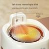 Glass Electric Kettle Gift Set for Floral Tea - Perfect Company Souvenir