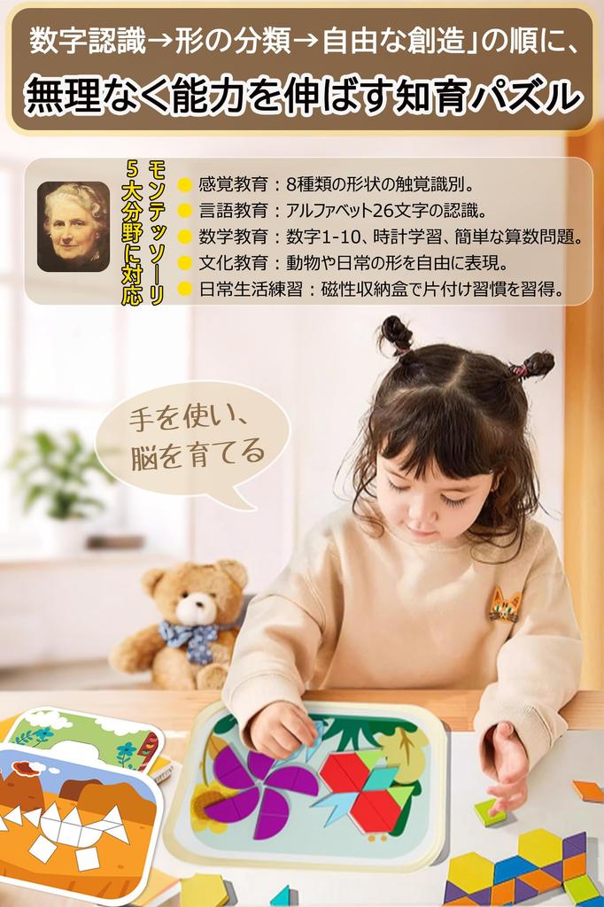 JUYEE Educational Toy, Magnetic Puzzle Set of 250 for Ages 3, 4, 5, and 6, Montessori Style for Babies and Boys, Preparing for School, Color and