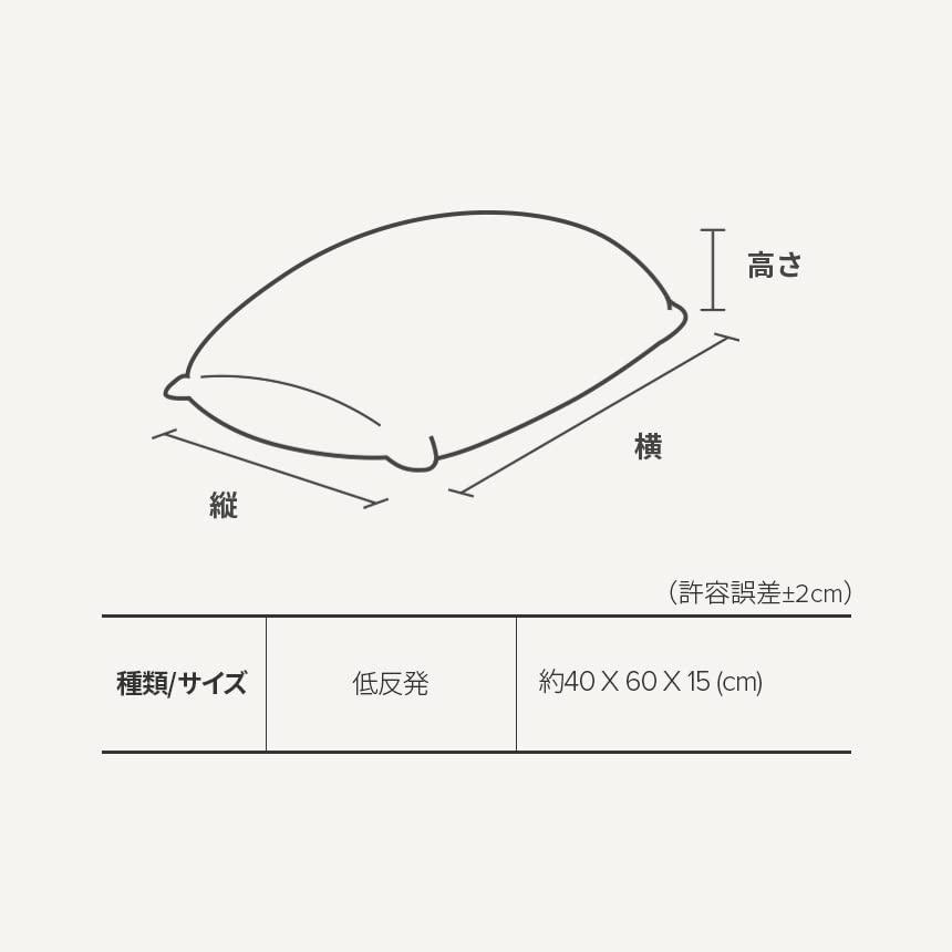Zinus Memory Foam Pillow Green Tea Memory Foam Pillow Antibacterial Treatment White 40 x 60 x 15cm PMPMP4