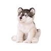 Plush Dog Toy Soft Stuffed Animal Realistic Sitting Puppy Plushie Gift for Kids and Collectors Home Decoration