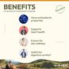 Wellwith By Ayuzera Proszek z Jagód Rokitnika Zwykłego z Himalajów Naturalny Wegański Superfood Bogaty w Omegi Witaminy i Błonnik 100g