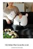 Cross-border New Collar Dog Pillow - Cute Toy Sofa Doll & West Highland Home Decoration