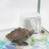 Silent Waterfall Turtle Filter Pump Low Water Level Mini Turtle Filter for Turtle Tank
