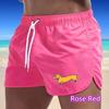 2025 Summer New Men's Quick-Drying Swim Trunks Sports Pants Swimwear Beach Shorts Jogging Shorts Dog Print