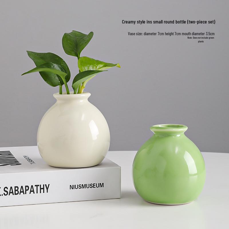 Small Ceramic Desktop Hydroponic Vase for Pothos - Simple Decorative Ornament for Office