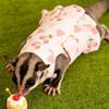Escape-Proof Ferret Harness Skirt Breathable Hamster Vest Cute Harness Suit  Pet Costume