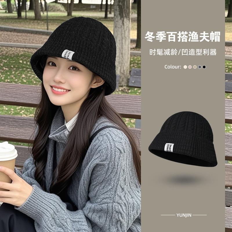 Internet celebrity autumn and winter fashion wide-along wool hat Korean version ins cloth sticker twist warm knitted hat cold hat wholesale