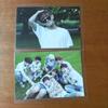 [USED] BTS 2ND MUSTER ZIP CODE 17520